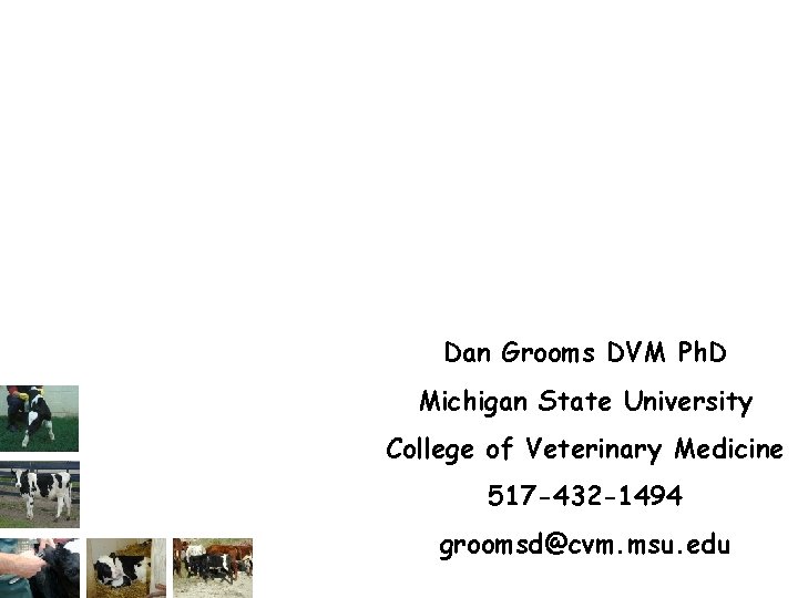 Dan Grooms DVM Ph. D Michigan State University College of Veterinary Medicine 517 -432