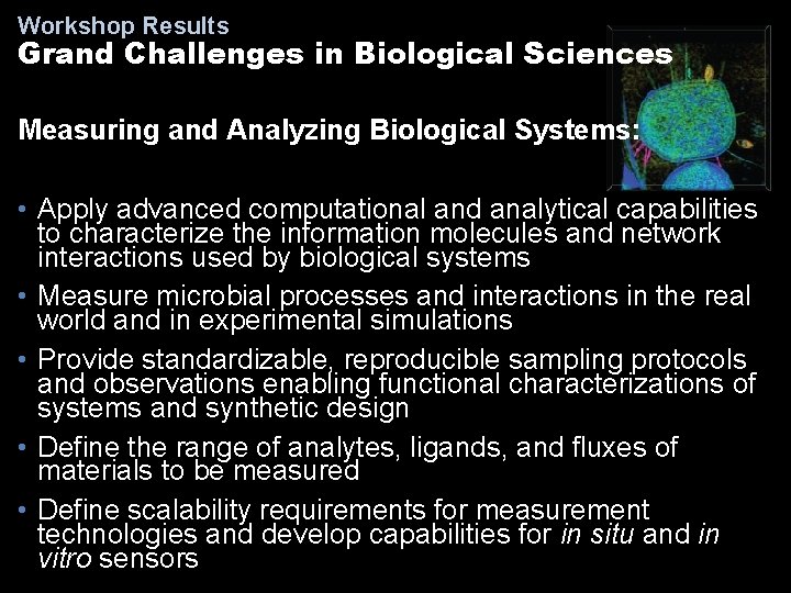 Workshop Results Grand Challenges in Biological Sciences Measuring and Analyzing Biological Systems: • Apply