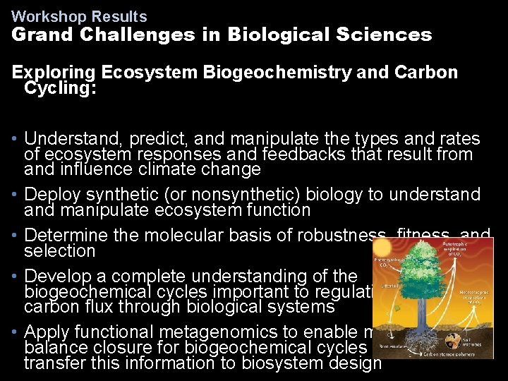 Workshop Results Grand Challenges in Biological Sciences Exploring Ecosystem Biogeochemistry and Carbon Cycling: •