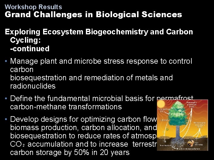 Workshop Results Grand Challenges in Biological Sciences Exploring Ecosystem Biogeochemistry and Carbon Cycling: -continued