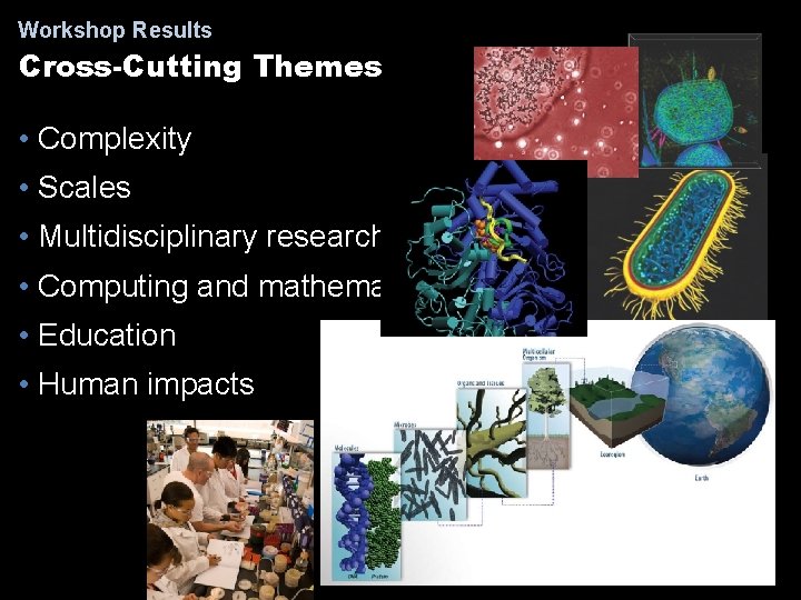 Workshop Results Cross-Cutting Themes • Complexity • Scales • Multidisciplinary research • Computing and