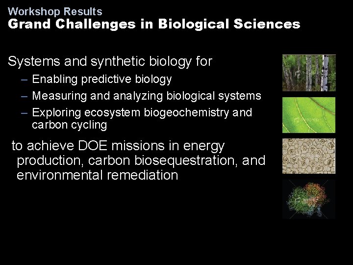 Workshop Results Grand Challenges in Biological Sciences Systems and synthetic biology for – Enabling