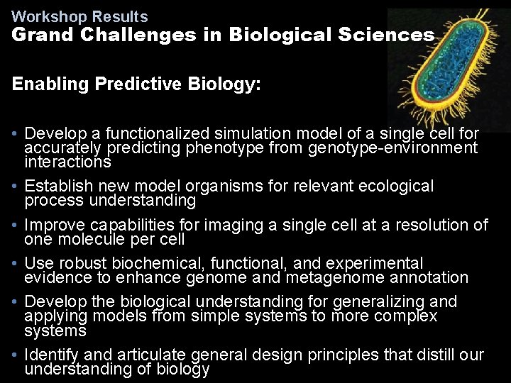 Workshop Results Grand Challenges in Biological Sciences Enabling Predictive Biology: • Develop a functionalized