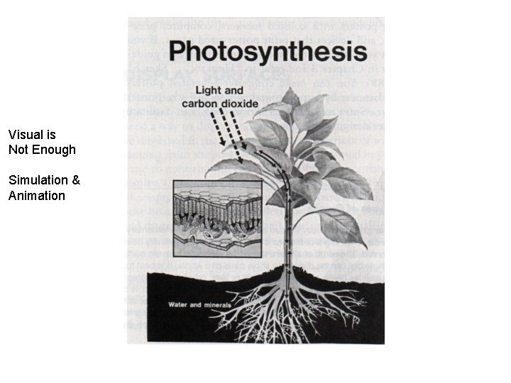 Visual is Not Enough Simulation & Animation 