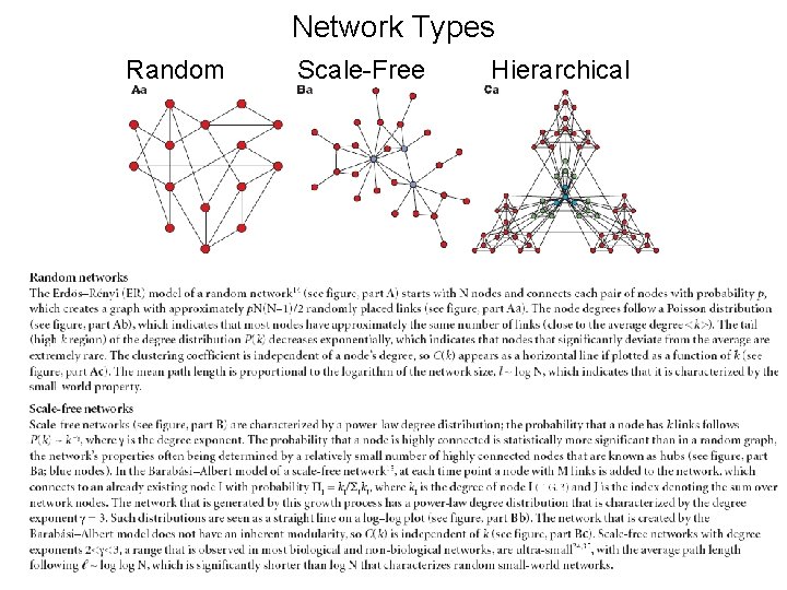 Network Types Random Scale-Free Hierarchical 