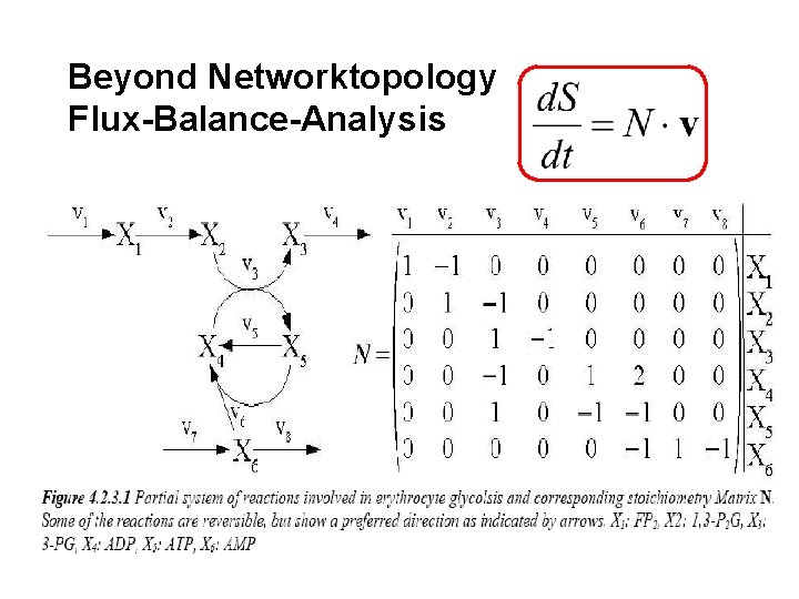 Beyond Networktopology Flux-Balance-Analysis 