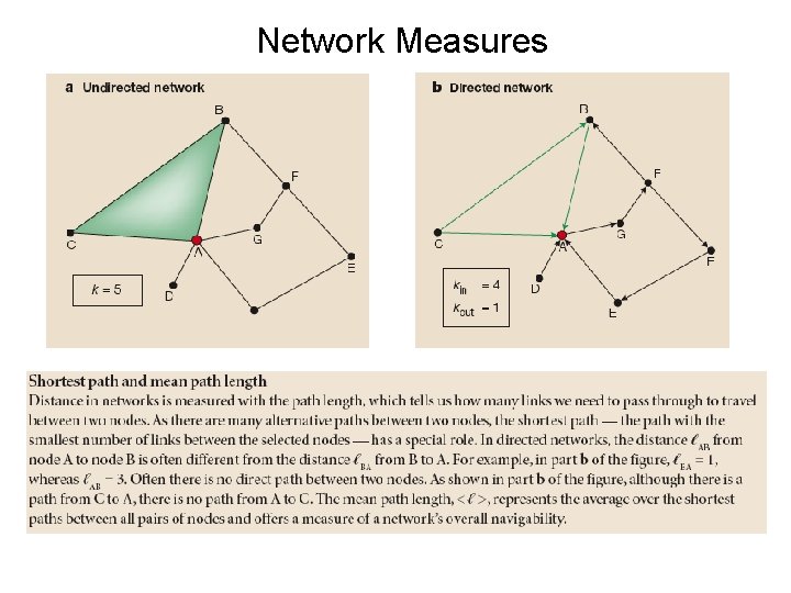 Network Measures 