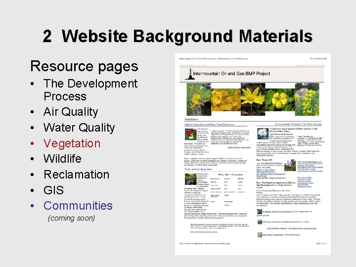 2 Website Background Materials Resource pages • The Development Process • Air Quality •