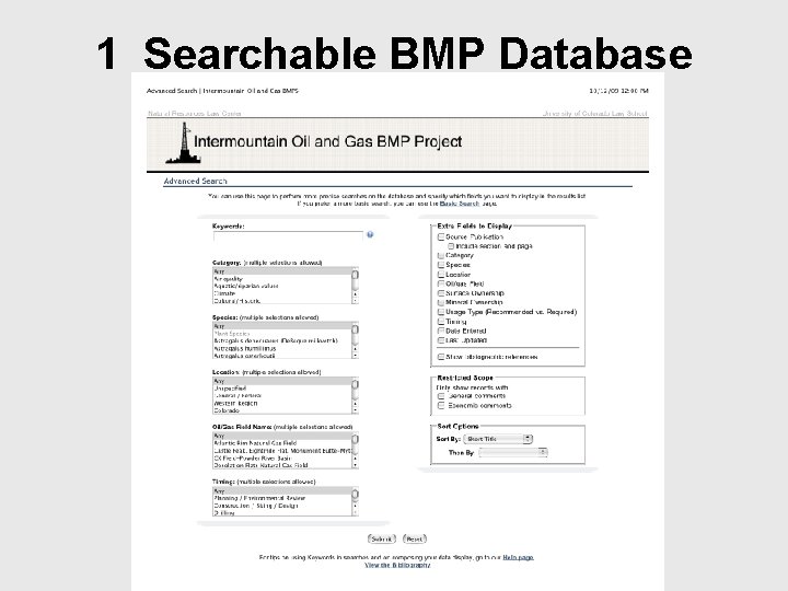 1 Searchable BMP Database 