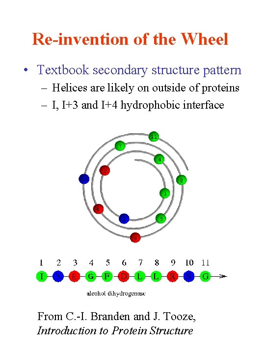 Re-invention of the Wheel • Textbook secondary structure pattern – Helices are likely on