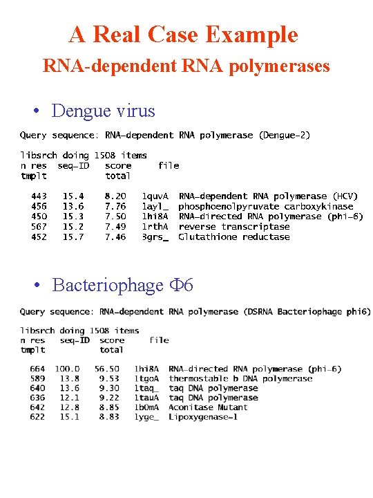 A Real Case Example RNA-dependent RNA polymerases • Dengue virus • Bacteriophage 6 