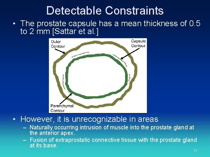 Detectable Constraints • The prostate capsule has a mean thickness of 0. 5 to