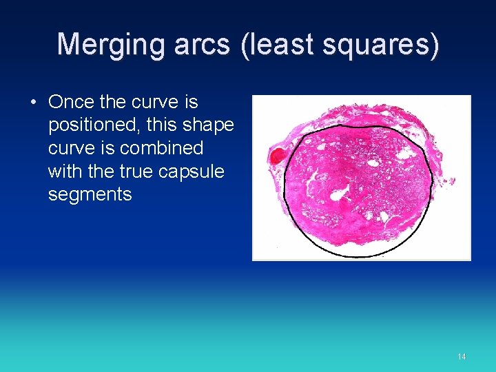 Merging arcs (least squares) • Once the curve is positioned, this shape curve is