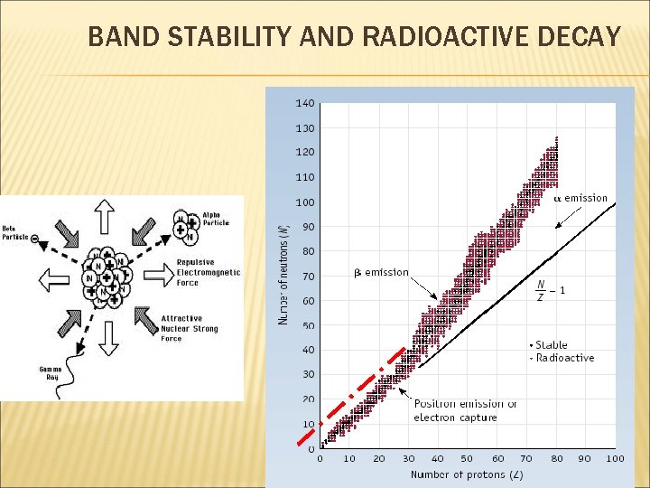 BAND STABILITY AND RADIOACTIVE DECAY 
