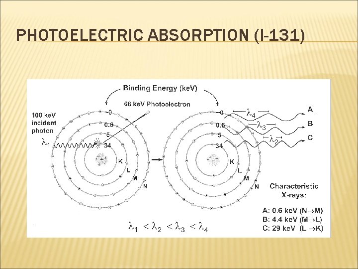 PHOTOELECTRIC ABSORPTION (I-131) 