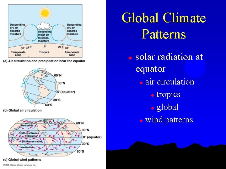 Global Climate Patterns l solar radiation at equator air circulation l tropics l global