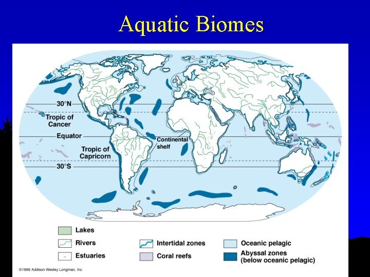 Aquatic Biomes 