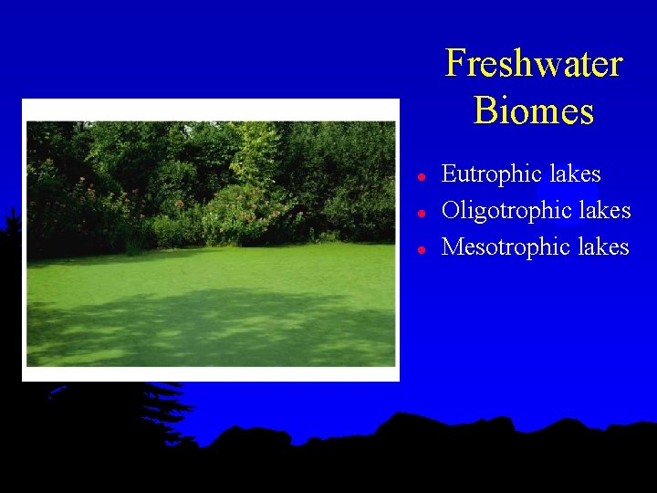 Freshwater Biomes l l l Eutrophic lakes Oligotrophic lakes Mesotrophic lakes 