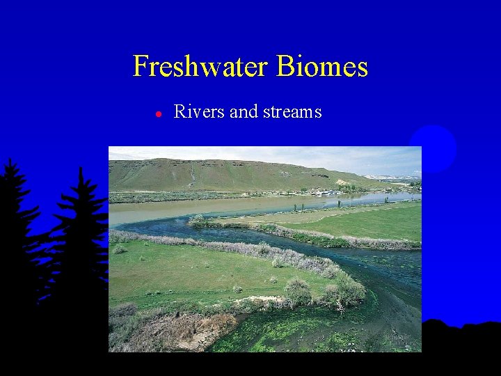 Freshwater Biomes l Rivers and streams 