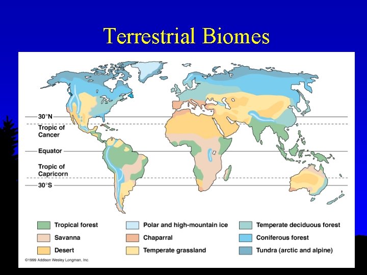 Terrestrial Biomes 