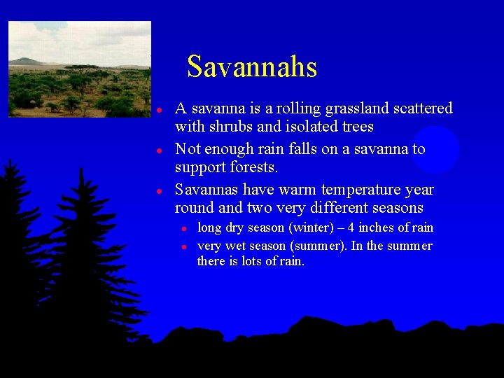 Savannahs l l l A savanna is a rolling grassland scattered with shrubs and