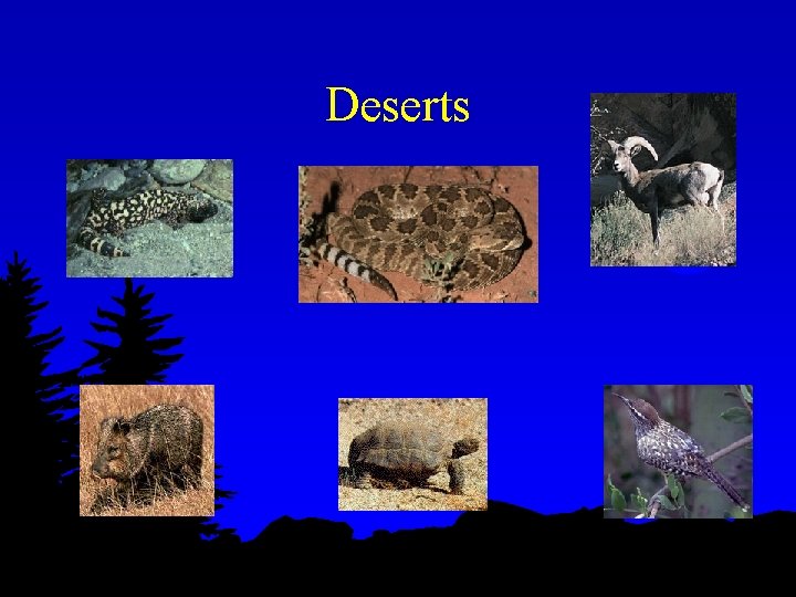 Deserts 