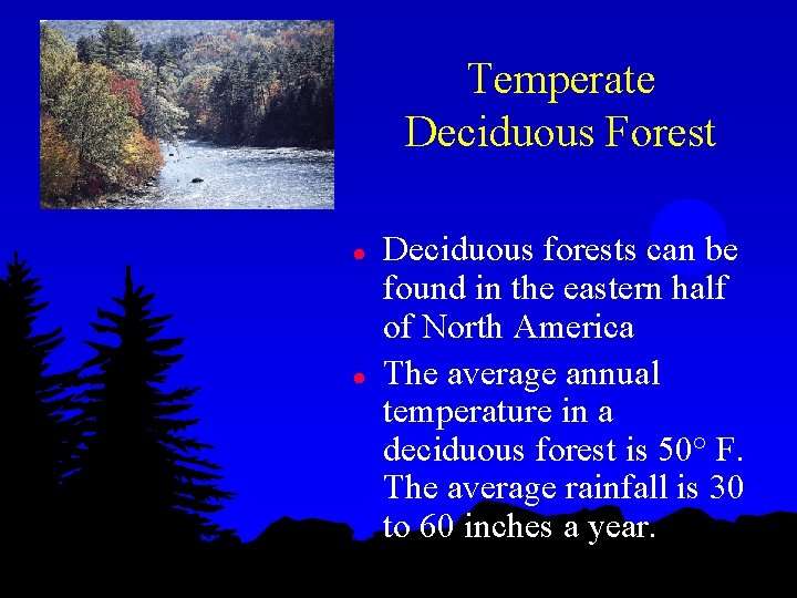 Temperate Deciduous Forest l l Deciduous forests can be found in the eastern half