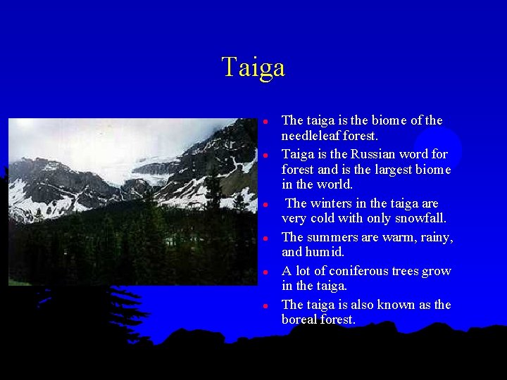 Taiga l l l The taiga is the biome of the needleleaf forest. Taiga