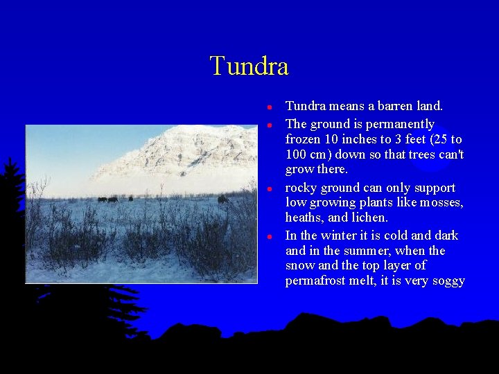 Tundra l l Tundra means a barren land. The ground is permanently frozen 10
