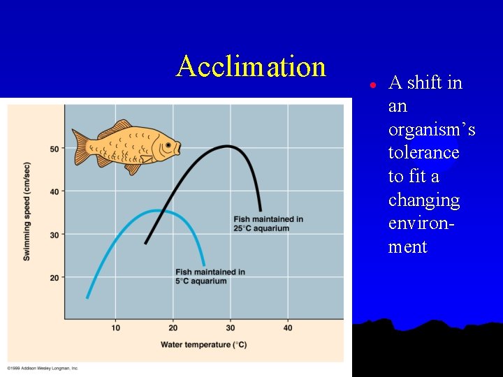 Acclimation l A shift in an organism’s tolerance to fit a changing environment 