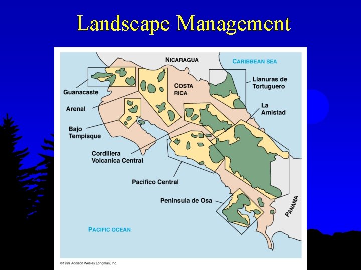 Landscape Management 