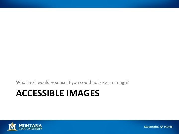 What text would you use if you could not use an image? ACCESSIBLE IMAGES