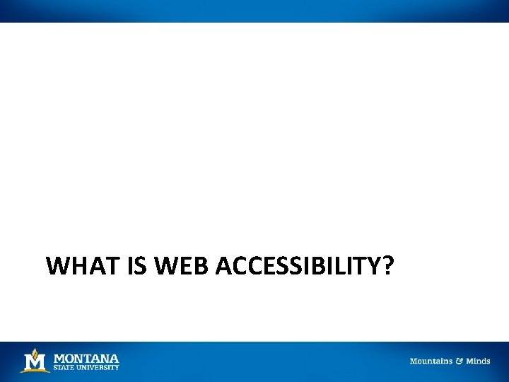 WHAT IS WEB ACCESSIBILITY? 