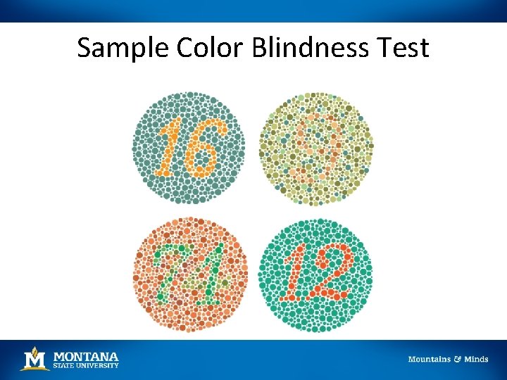 Sample Color Blindness Test 