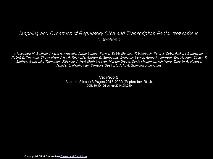mapping and dynamics of regulatory dna and transcription