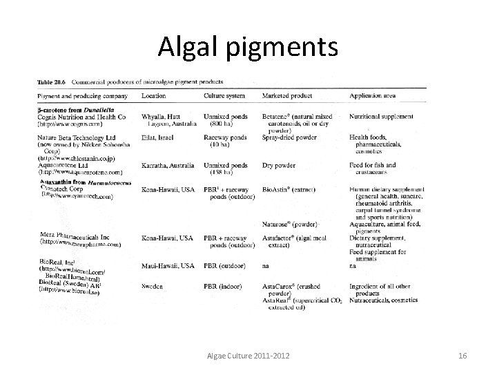 Algal pigments Algae Culture 2011 -2012 16 