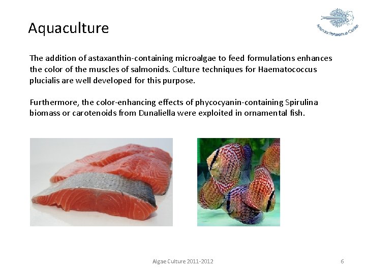 Aquaculture The addition of astaxanthin-containing microalgae to feed formulations enhances the color of the