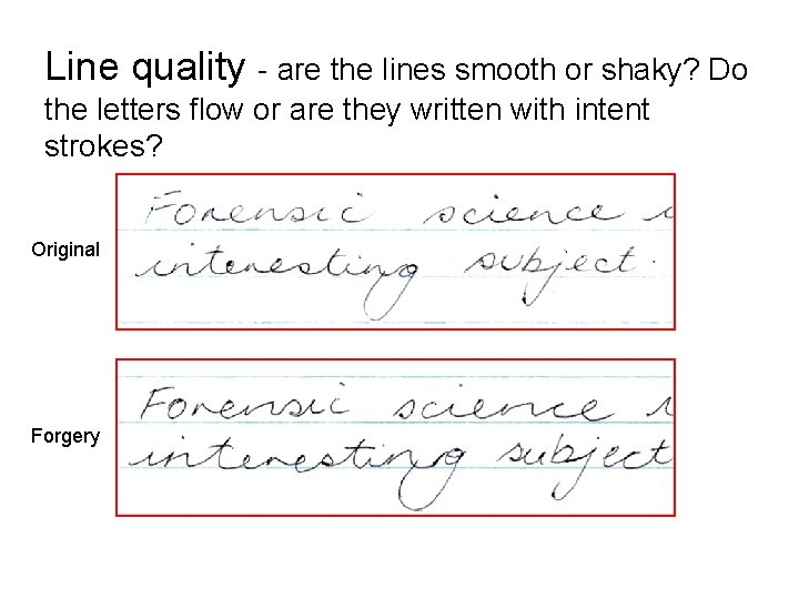 Line quality - are the lines smooth or shaky? Do the letters flow or