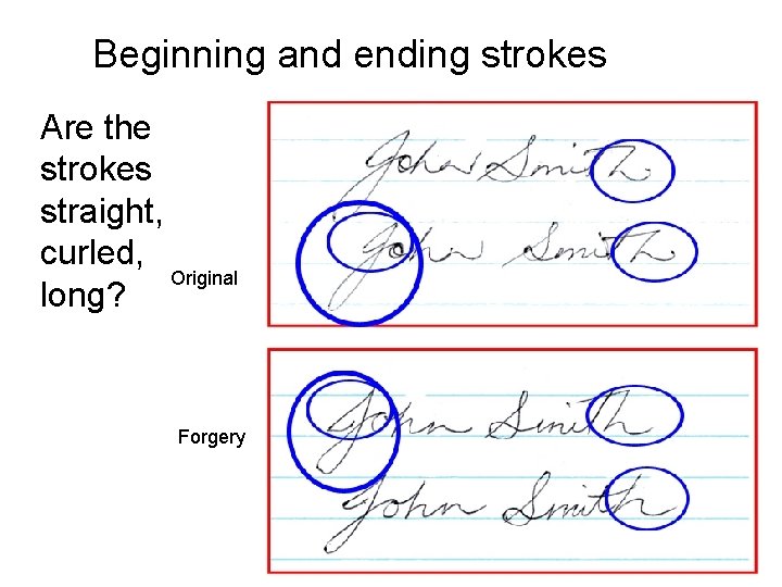Beginning and ending strokes Are the strokes straight, curled, Original long? Forgery 