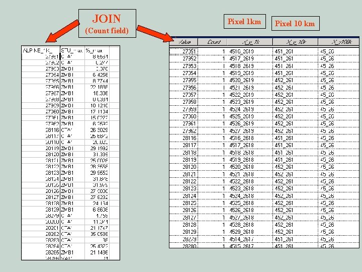 JOIN (Count field) Pixel 1 km Pixel 10 km 