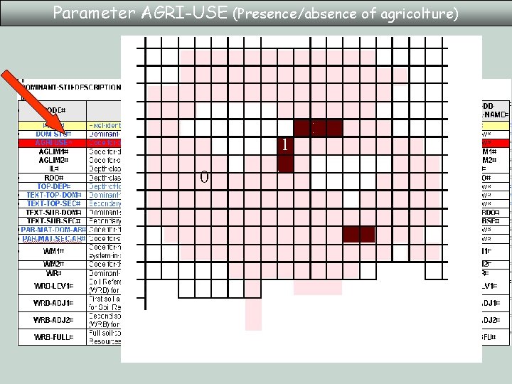 Parameter AGRI-USE (Presence/absence of agricolture) 1 0 