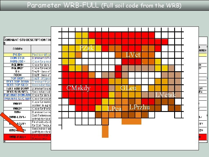 Parameter WRB-FULL (Full soil code from the WRB) PZsk CMskdy LVct GLeu LPca LPrzhu