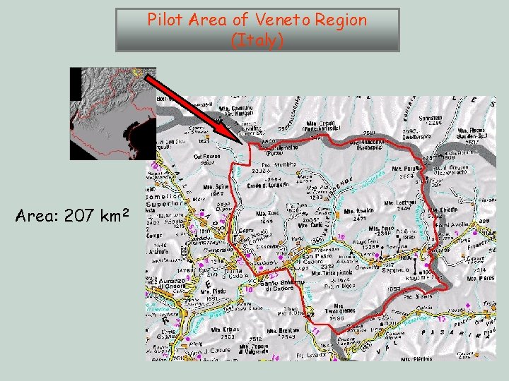Pilot Area of Veneto Region (Italy) Area: 207 km 2 