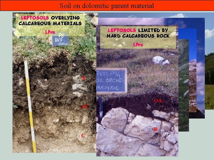Soil on dolomitic parent material LEPTOSOLS OVERLYING CALCAREOUS MATERIALS LEPTOSOLS LIMITED BY HARD CALCAREOUS