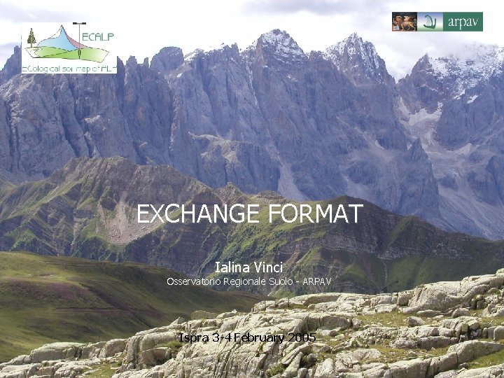 EXCHANGE FORMAT Ialina Vinci Osservatorio Regionale Suolo - ARPAV Ispra 3 -4 February 2005