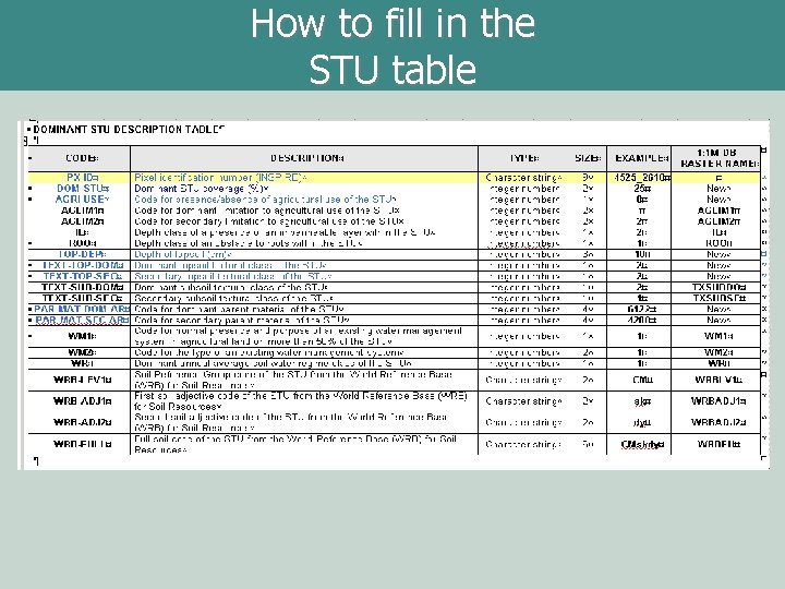 How to fill in the STU table 