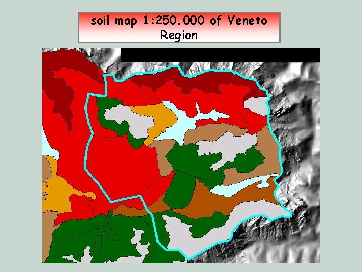 soil map 1: 250. 000 of Veneto Region 