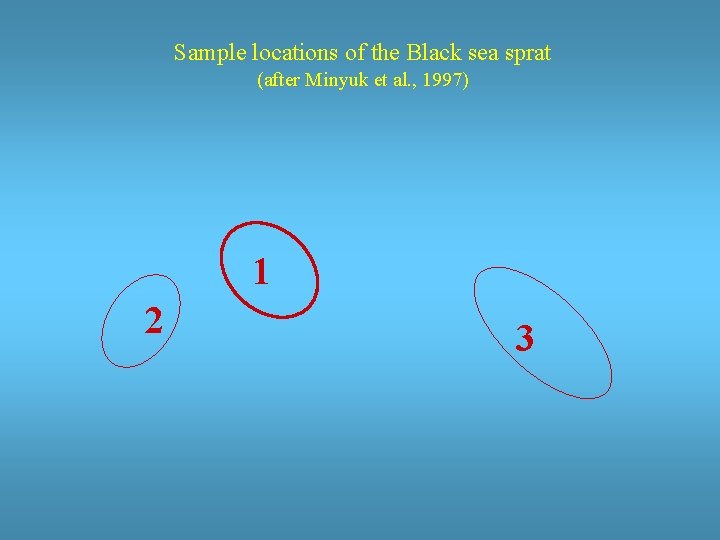 Sample locations of the Black sea sprat (after Minyuk et al. , 1997) 1