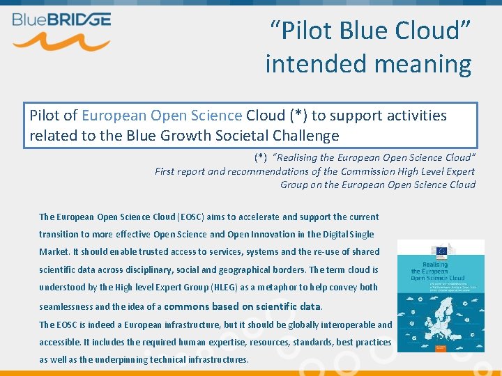 “Pilot Blue Cloud” intended meaning Pilot of European Open Science Cloud (*) to support