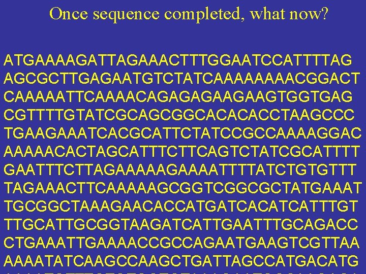 Once sequence completed, what now? ATGAAAAGATTAGAAACTTTGGAATCCATTTTAG AGCGCTTGAGAATGTCTATCAAAACGGACT CAAAAATTCAAAACAGAGAGAAGAAGTGGTGAG CGTTTTGTATCGCAGCGGCACACACCTAAGCCC TGAAGAAATCACGCATTCTATCCGCCAAAAGGAC AAAAACACTAGCATTTCTTCAGTCTATCGCATTTT GAATTTCTTAGAAAATTTTATCTGTGTTT TAGAAACTTCAAAAAGCGGTCGGCGCTATGAAAT TGCGGCTAAAGAACACCATGATCACATCATTTGT